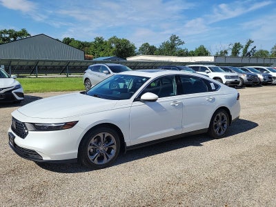 2023 Honda Accord EX